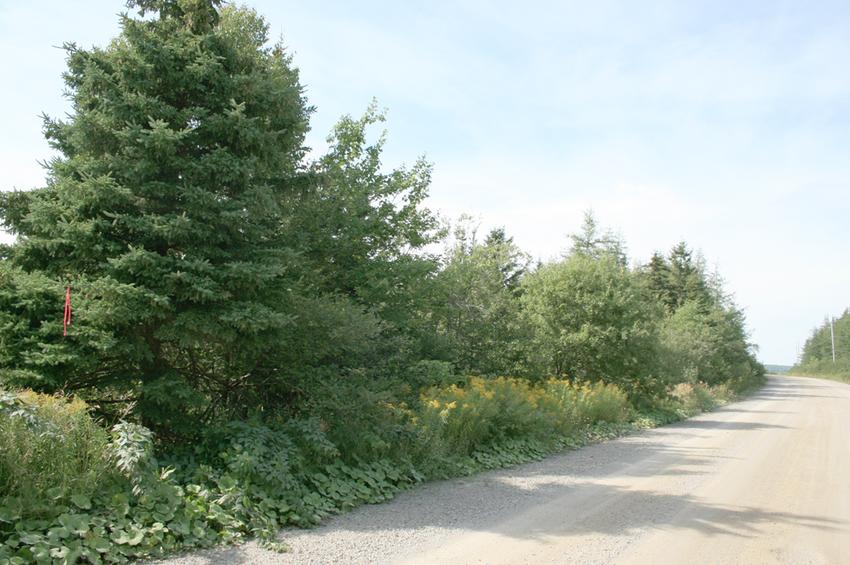 Canadian Land For Sale in Ontario, Nova Scotia, and New Brunswick