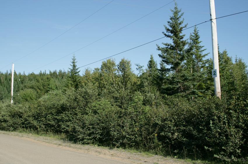 Canadian Land For Sale in Ontario, Nova Scotia, and New Brunswick