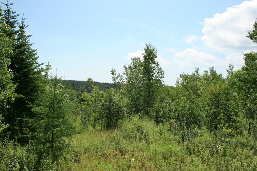 Canadian Land For Sale in Ontario, Nova Scotia, and New Brunswick