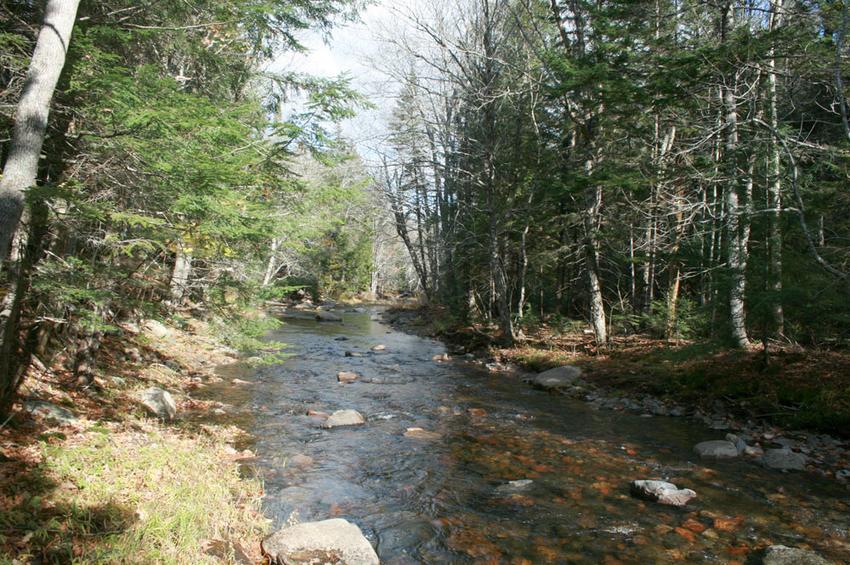 Canadian Land For Sale in Ontario, Nova Scotia, and New Brunswick