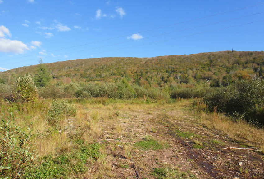 Canadian Land For Sale in Ontario, Nova Scotia, and New Brunswick