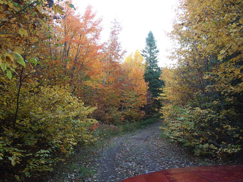 Canadian Land For Sale in Ontario, Nova Scotia, and New Brunswick