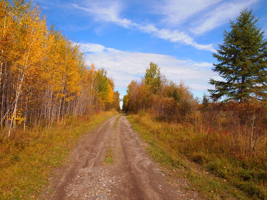 Canadian Land For Sale in Ontario, Nova Scotia, and New Brunswick