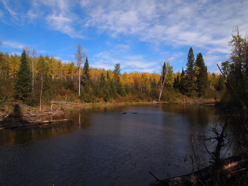 Canadian Land For Sale in Ontario, Nova Scotia, and New Brunswick