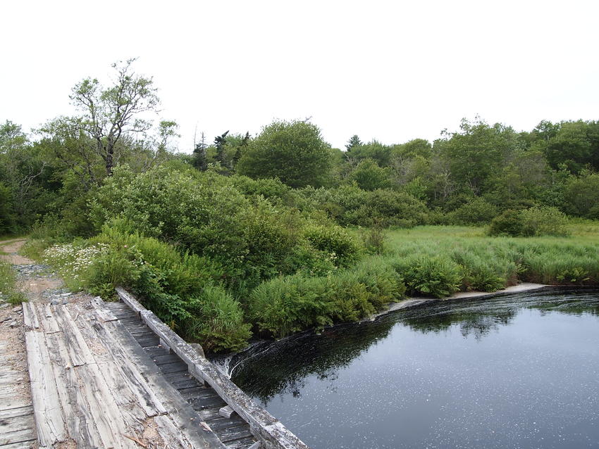 Canadian Land For Sale in Ontario, Nova Scotia, and New Brunswick