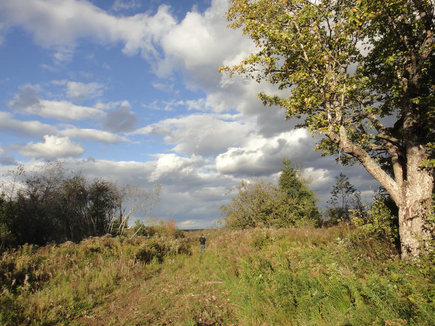Canadian Land For Sale in Ontario, Nova Scotia, and New Brunswick