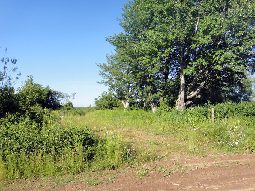 Canadian Land For Sale in Ontario, Nova Scotia, and New Brunswick