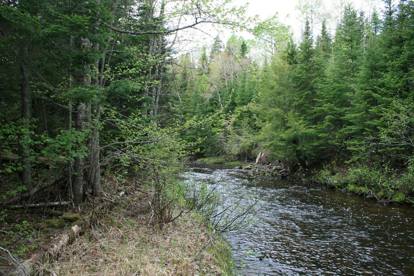 Canadian Land For Sale in Ontario, Nova Scotia, and New Brunswick