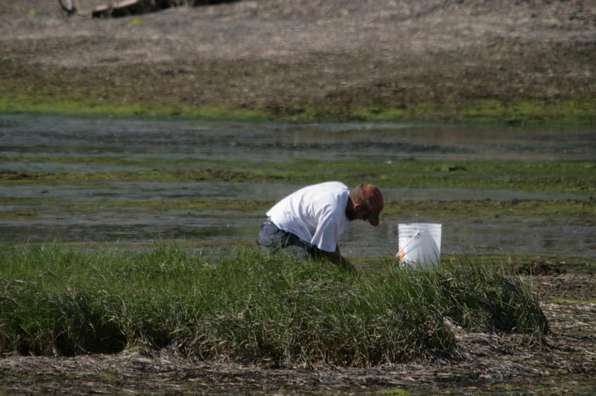 Canadian Land For Sale in Ontario, Nova Scotia, and New Brunswick