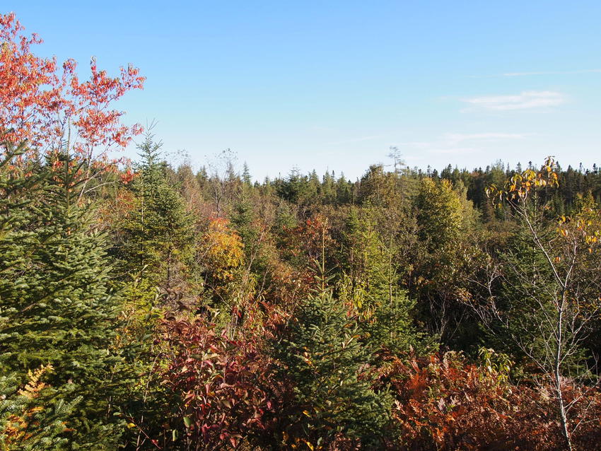 Canadian Land For Sale in Ontario, Nova Scotia, and New Brunswick