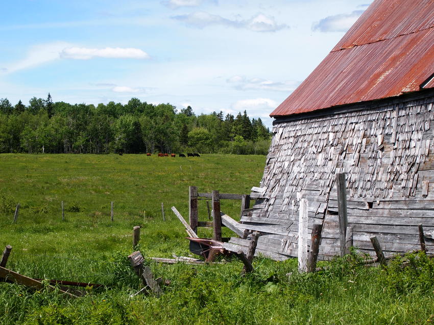 Canadian Land For Sale in Ontario, Nova Scotia, and New Brunswick