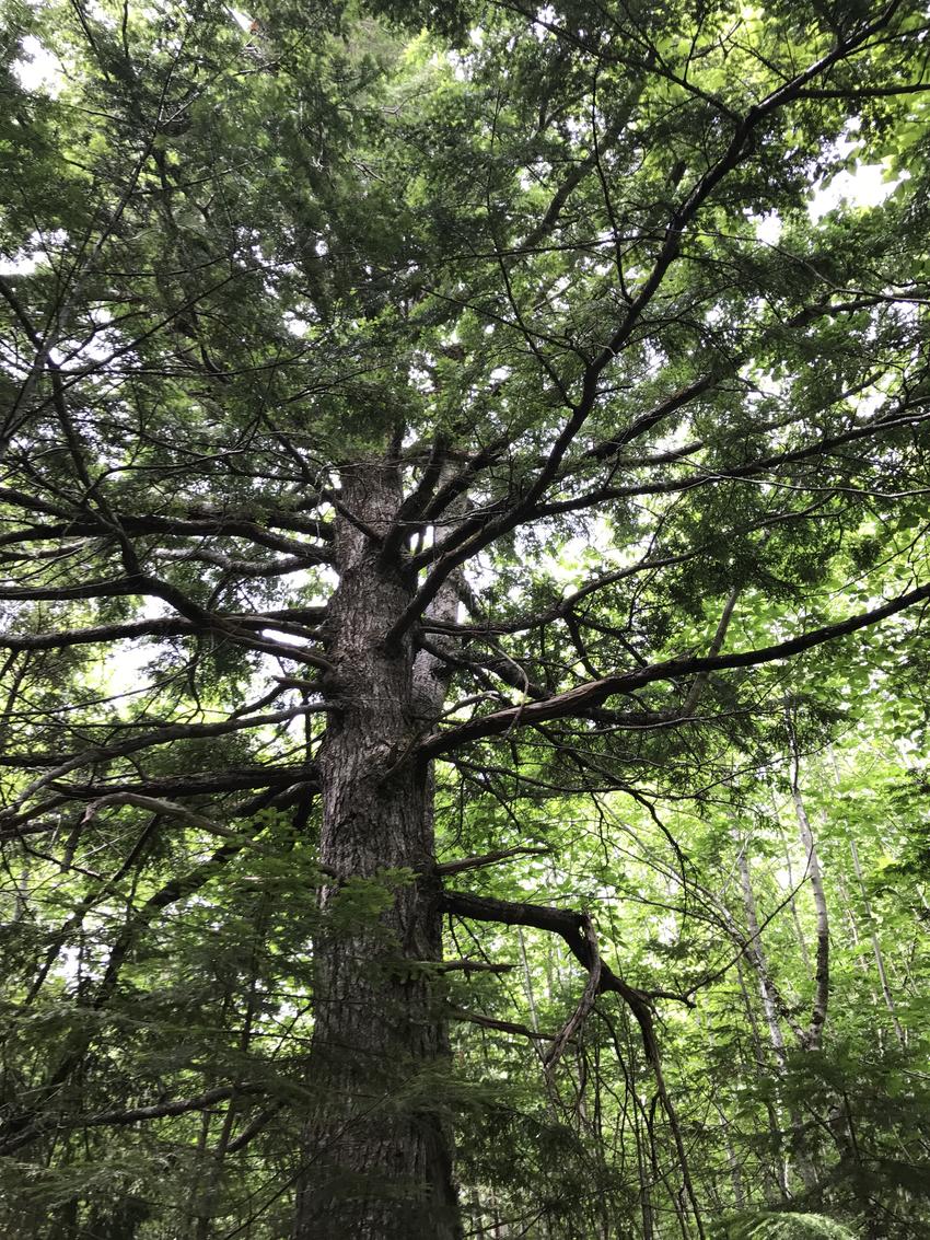 Canadian Land For Sale in Ontario, Nova Scotia, and New Brunswick