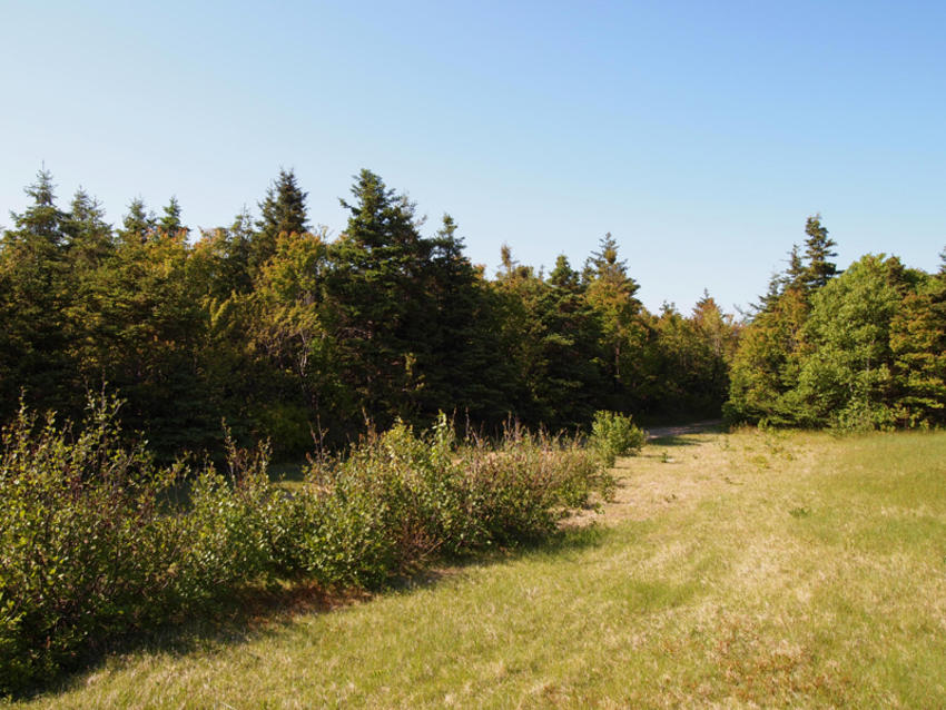 Canadian Land For Sale in Ontario, Nova Scotia, and New Brunswick