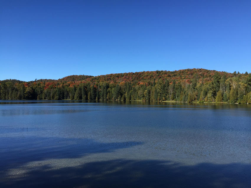 Canadian Land For Sale in Ontario, Nova Scotia, and New Brunswick