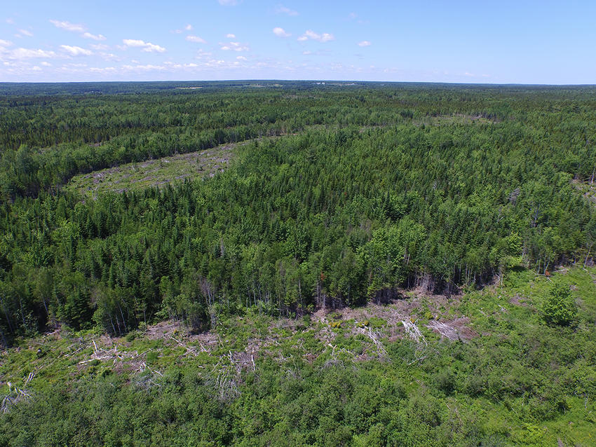 Canadian Land For Sale in Ontario, Nova Scotia, and New Brunswick