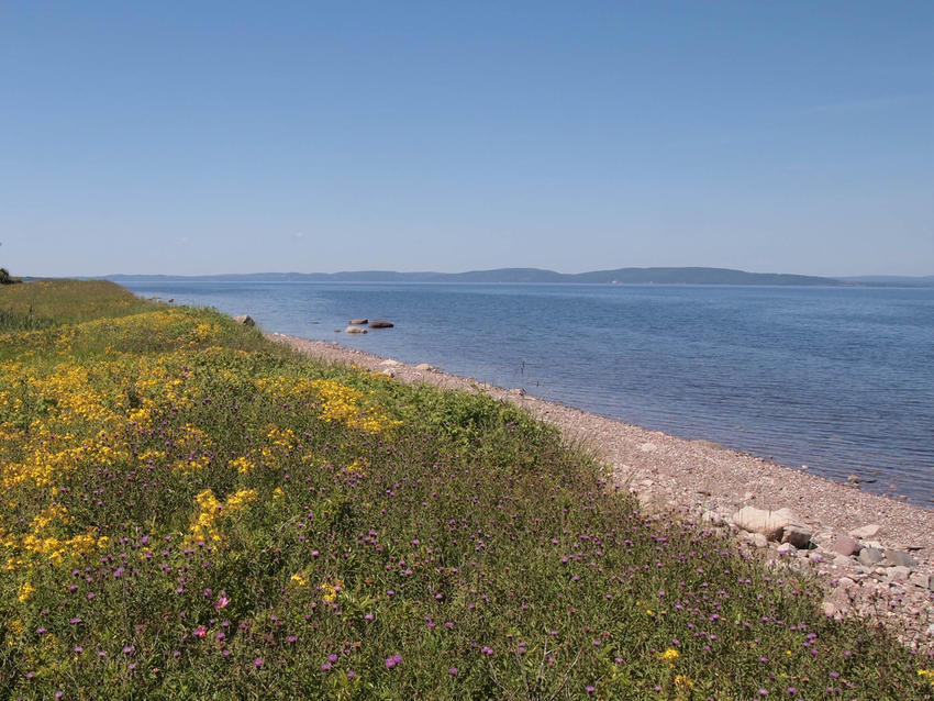 Canadian Land For Sale in Ontario, Nova Scotia, and New Brunswick