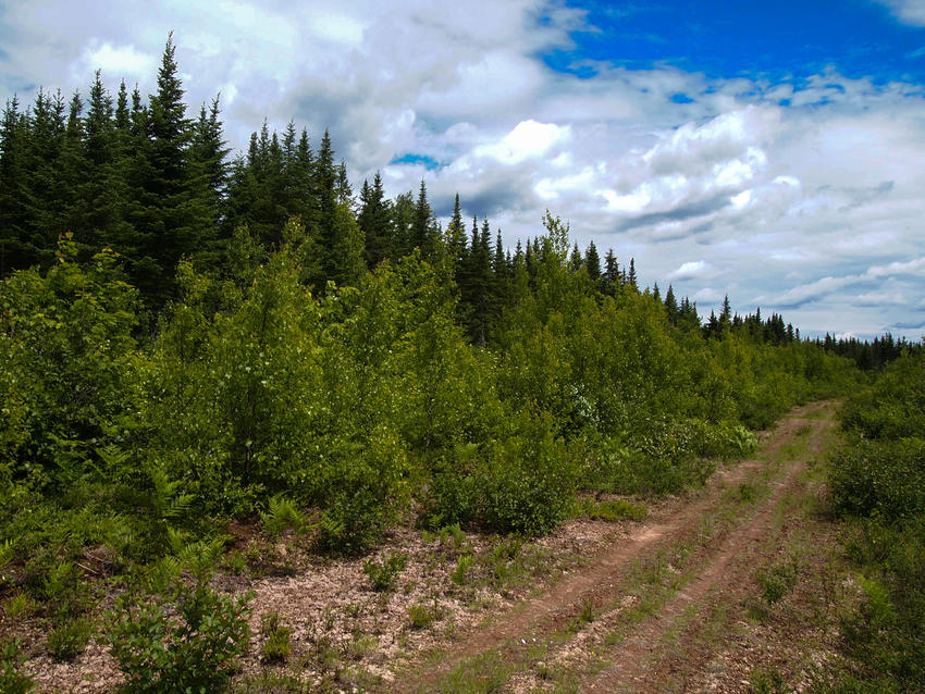 Canadian Land For Sale in Ontario, Nova Scotia, and New Brunswick