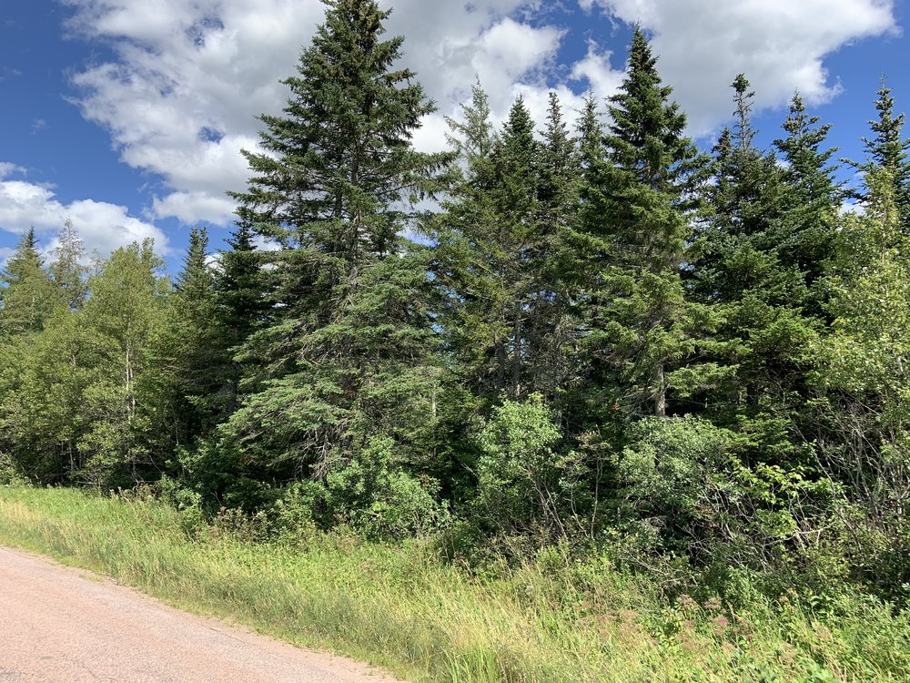 Canadian Land For Sale in Ontario, Nova Scotia, and New Brunswick