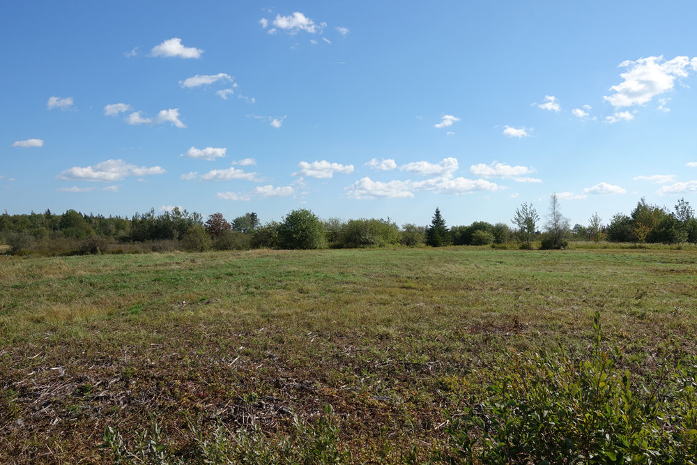 Canadian Land For Sale in Ontario, Nova Scotia, and New Brunswick