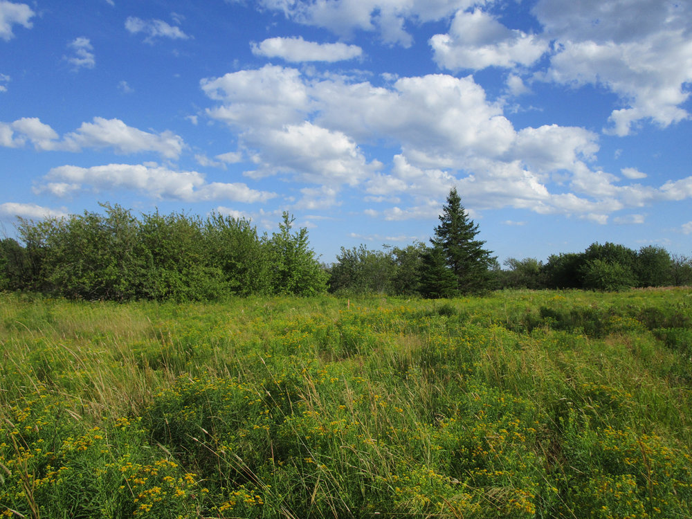 Canadian Land For Sale in Ontario, Nova Scotia, and New Brunswick