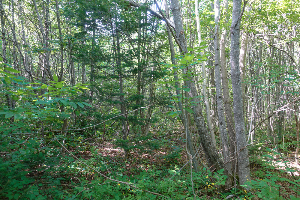 Canadian Land For Sale in Ontario, Nova Scotia, and New Brunswick