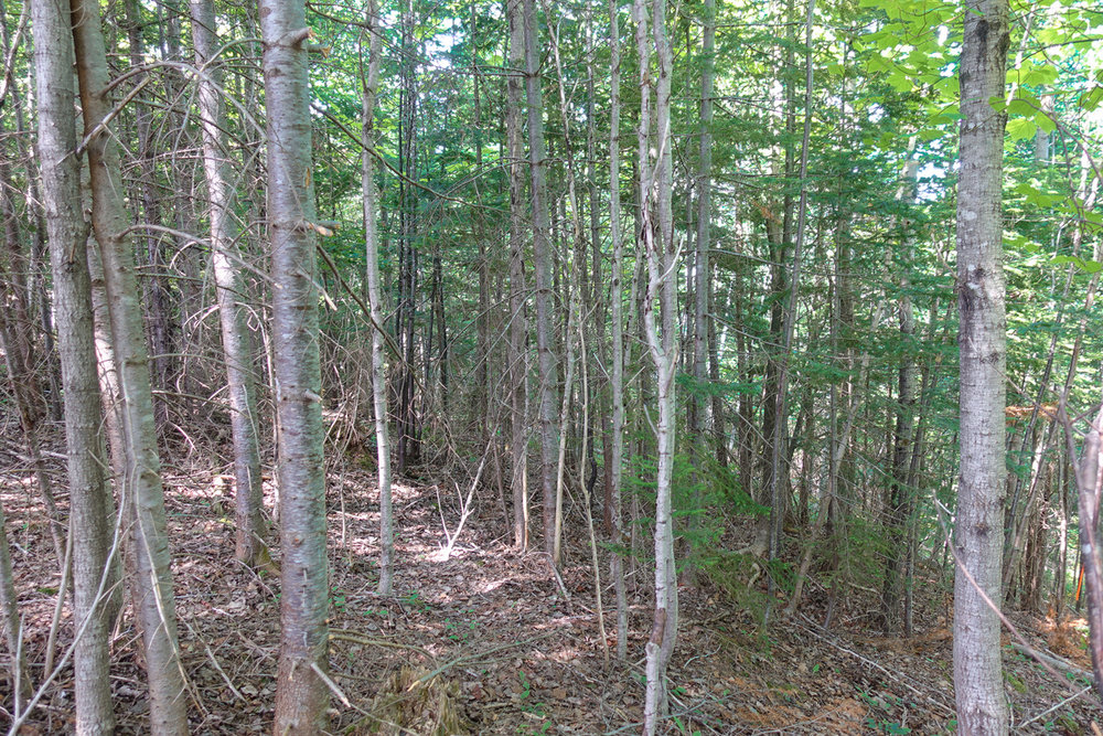 Canadian Land For Sale in Ontario, Nova Scotia, and New Brunswick
