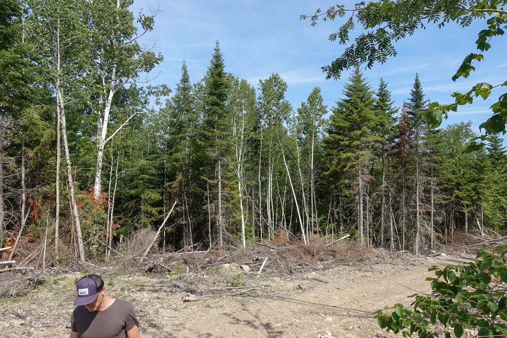 Canadian Land For Sale in Ontario, Nova Scotia, and New Brunswick