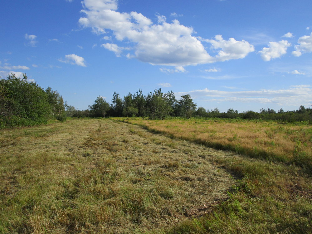 Canadian Land For Sale in Ontario, Nova Scotia, and New Brunswick
