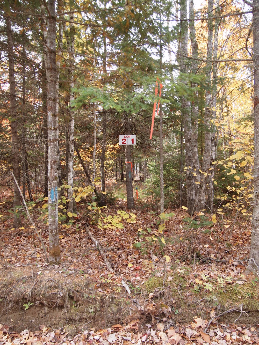 Canadian Land For Sale in Ontario, Nova Scotia, and New Brunswick