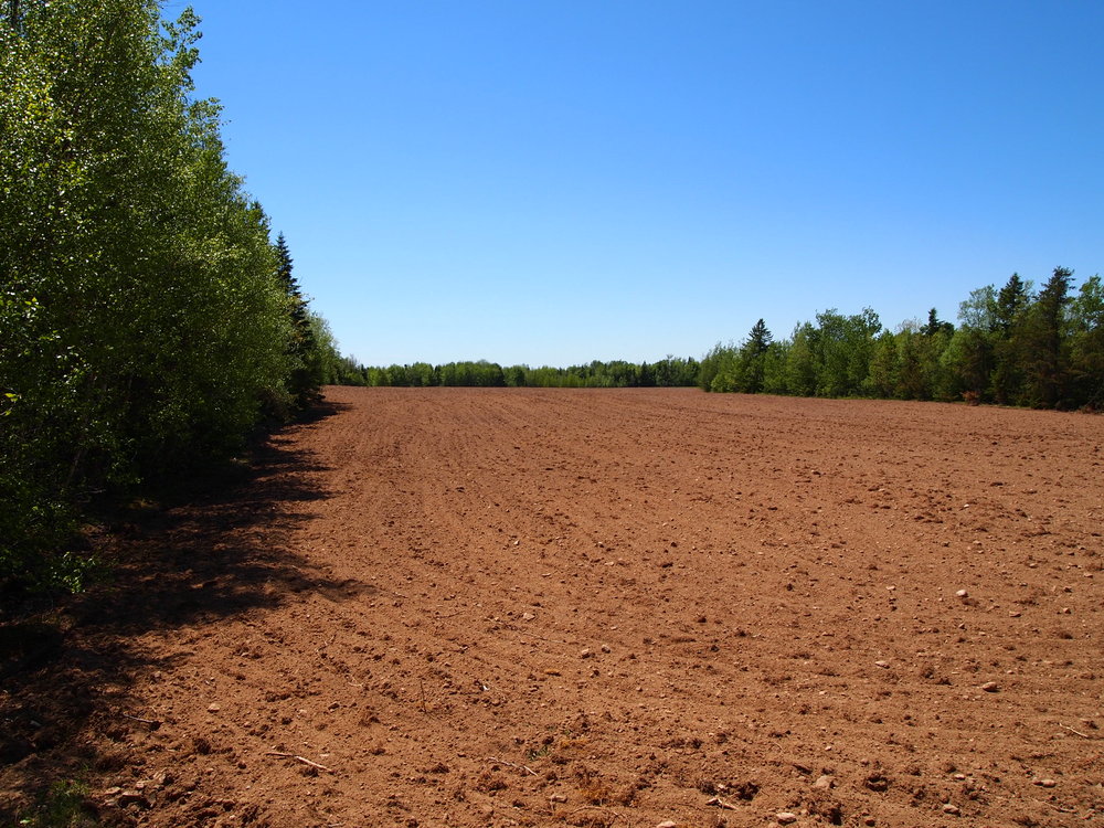 Canadian Land For Sale in Ontario, Nova Scotia, and New Brunswick