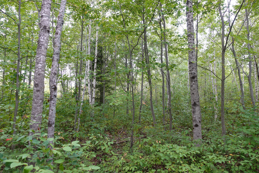 Canadian Land For Sale in Ontario, Nova Scotia, and New Brunswick