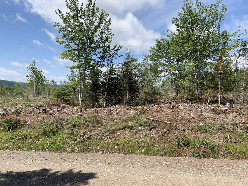 Canadian Land For Sale in Ontario, Nova Scotia, and New Brunswick