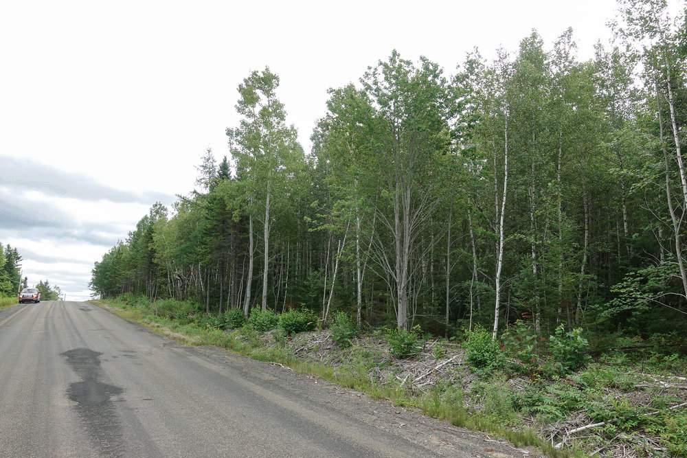 Canadian Land For Sale in Ontario, Nova Scotia, and New Brunswick