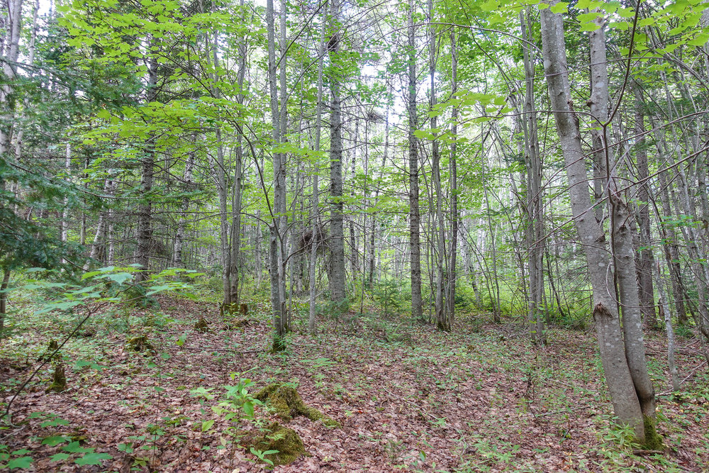 Canadian Land For Sale in Ontario, Nova Scotia, and New Brunswick