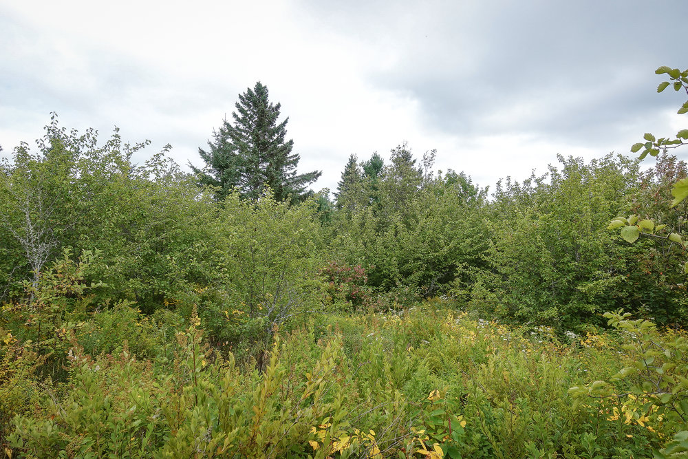 Canadian Land For Sale in Ontario, Nova Scotia, and New Brunswick