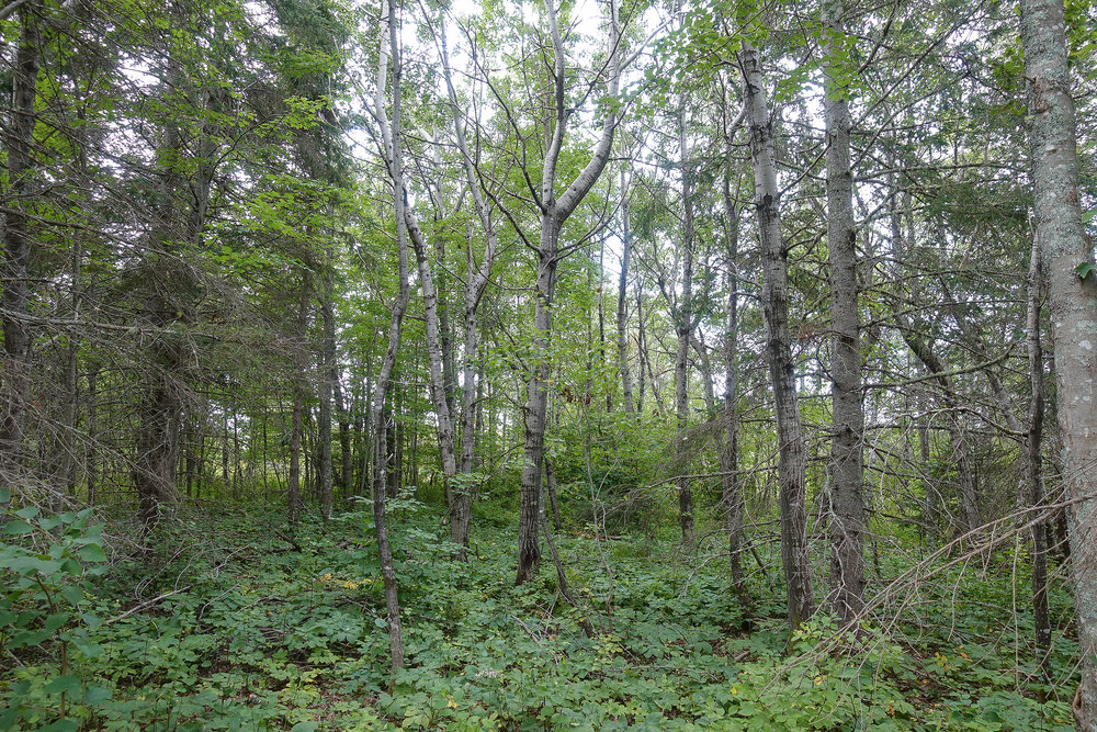 Canadian Land For Sale in Ontario, Nova Scotia, and New Brunswick