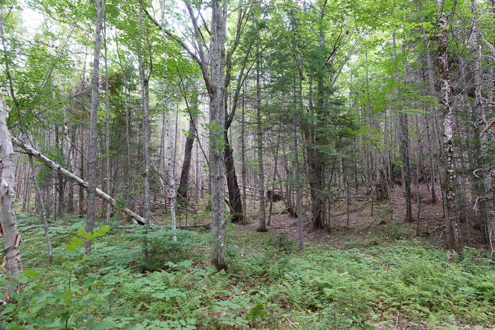 Canadian Land For Sale in Ontario, Nova Scotia, and New Brunswick