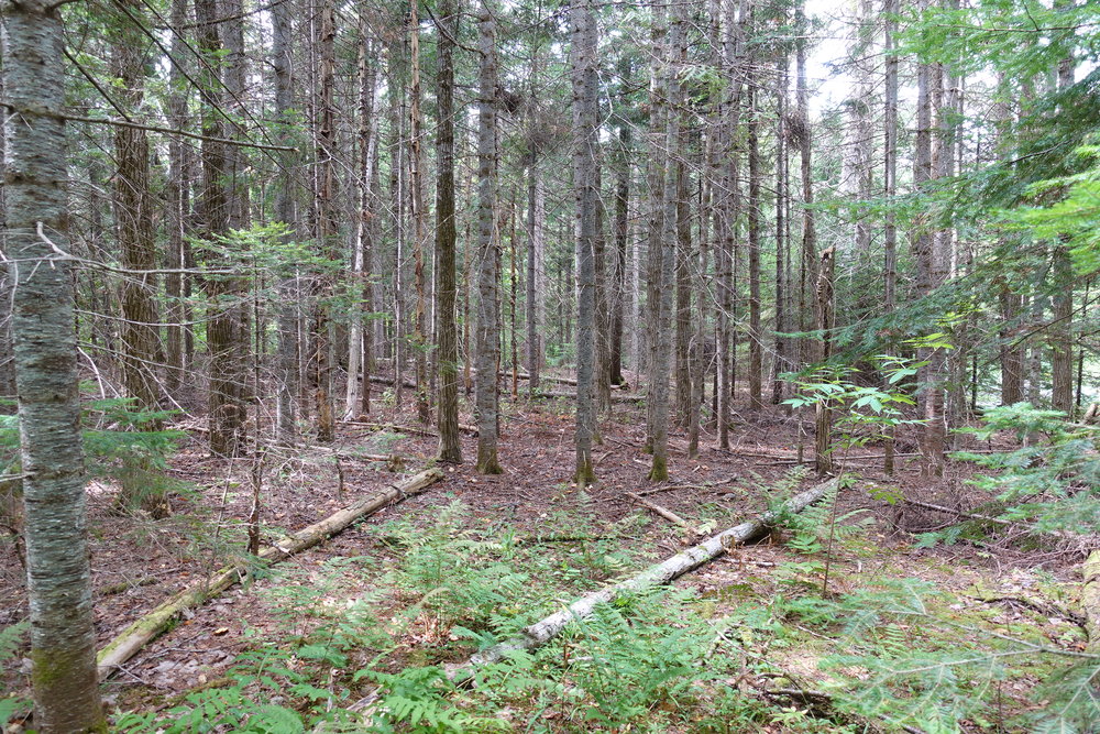 Canadian Land For Sale in Ontario, Nova Scotia, and New Brunswick