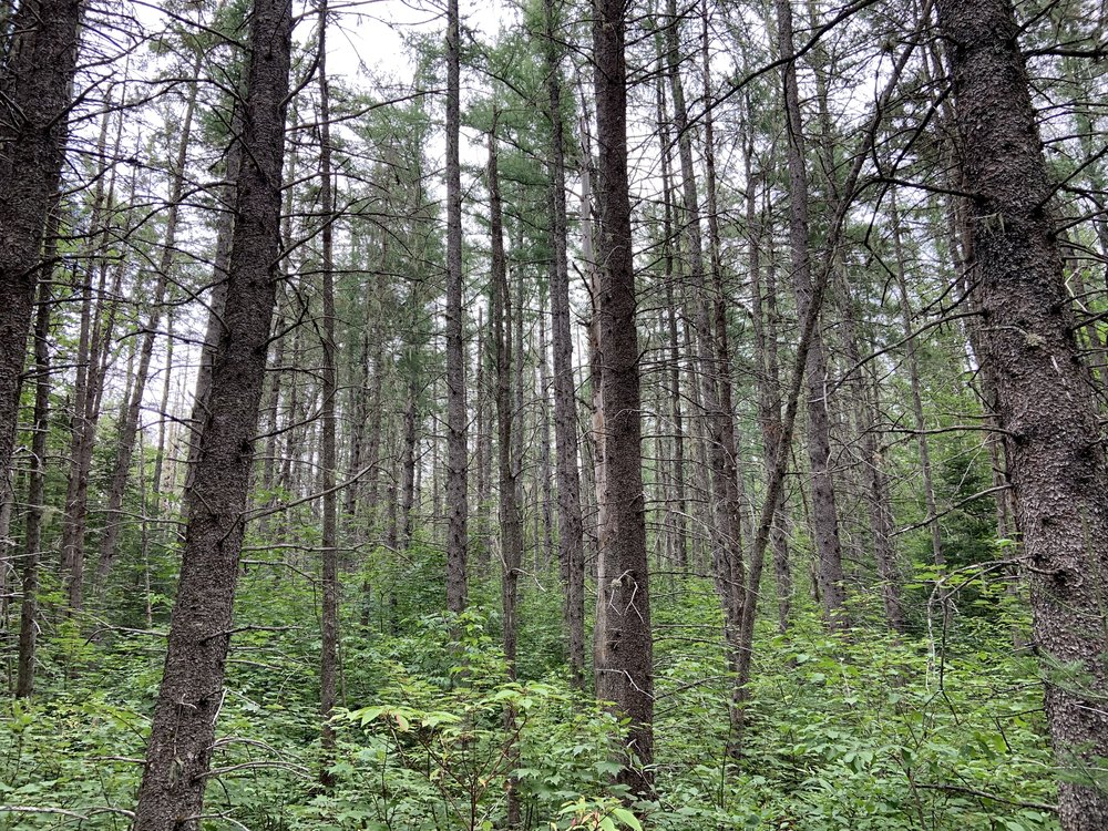 Canadian Land For Sale in Ontario, Nova Scotia, and New Brunswick