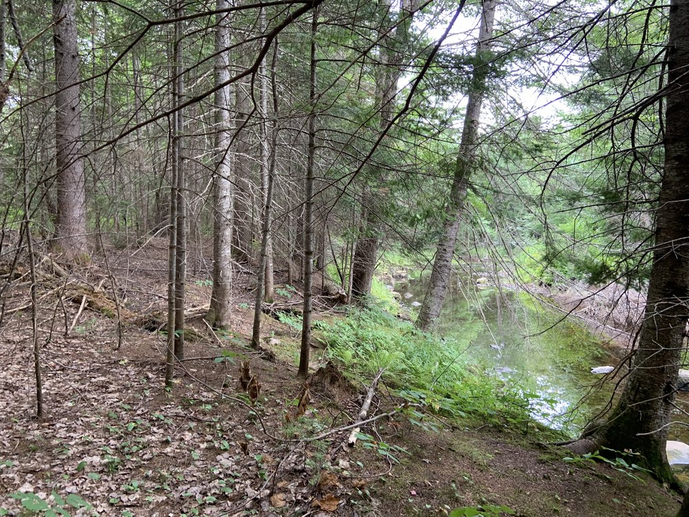 Canadian Land For Sale in Ontario, Nova Scotia, and New Brunswick