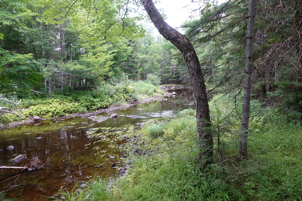 Canadian Land For Sale in Ontario, Nova Scotia, and New Brunswick