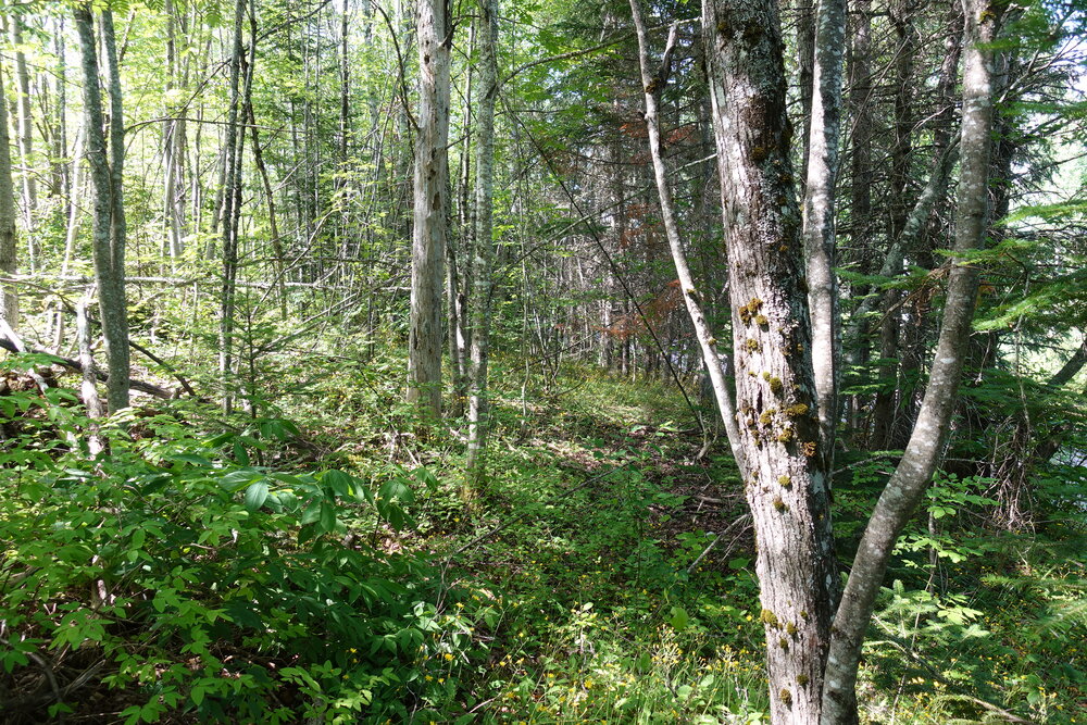 Canadian Land For Sale in Ontario, Nova Scotia, and New Brunswick