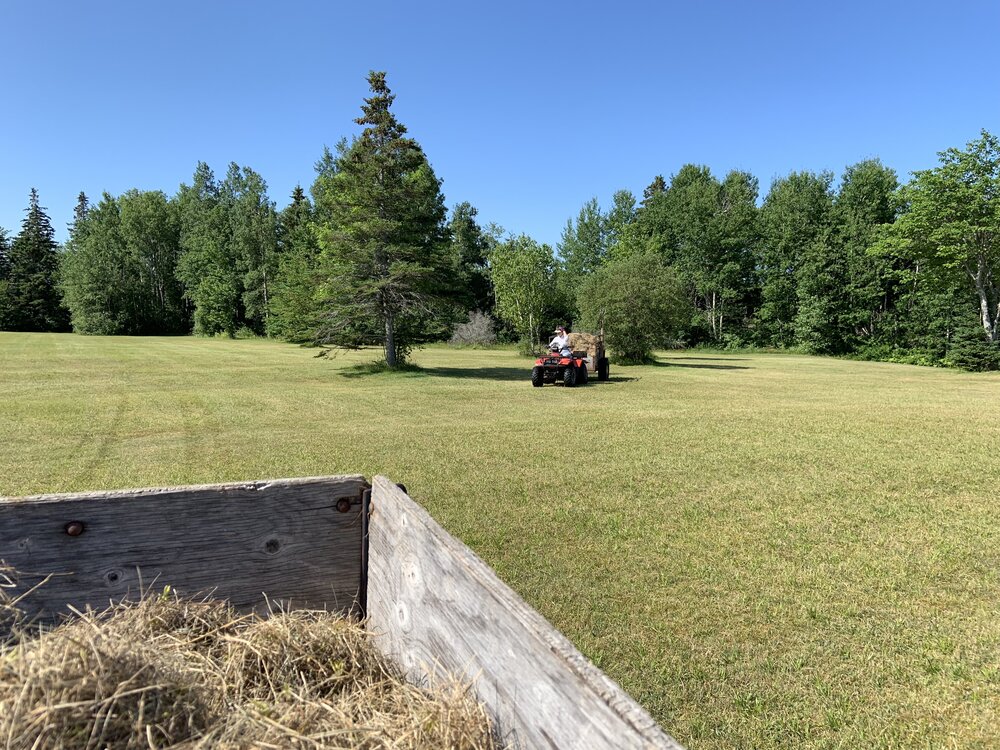 Canadian Land For Sale in Ontario, Nova Scotia, and New Brunswick