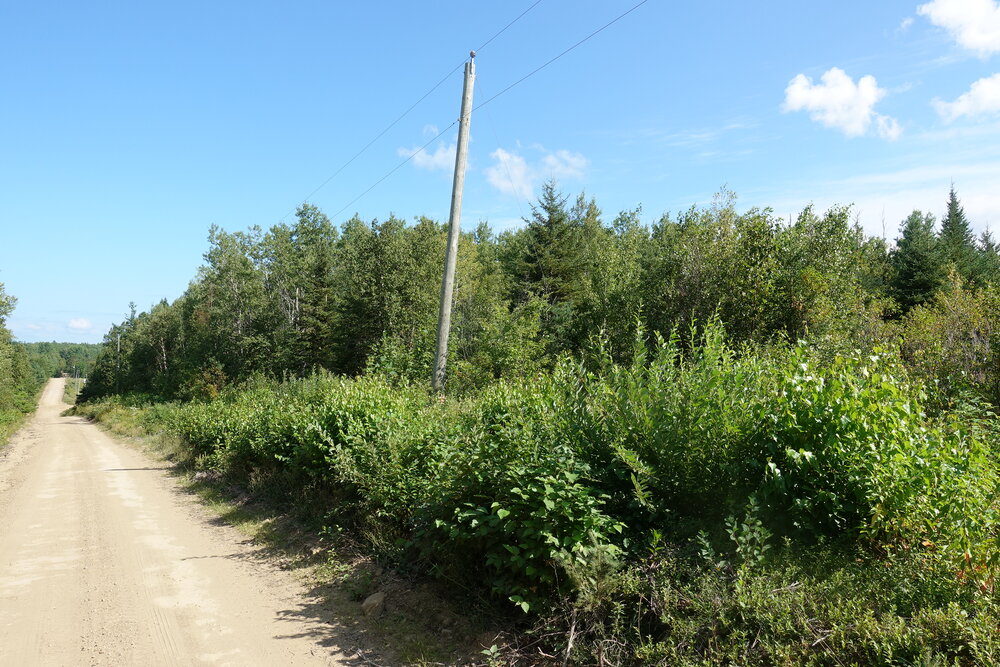Canadian Land For Sale in Ontario, Nova Scotia, and New Brunswick
