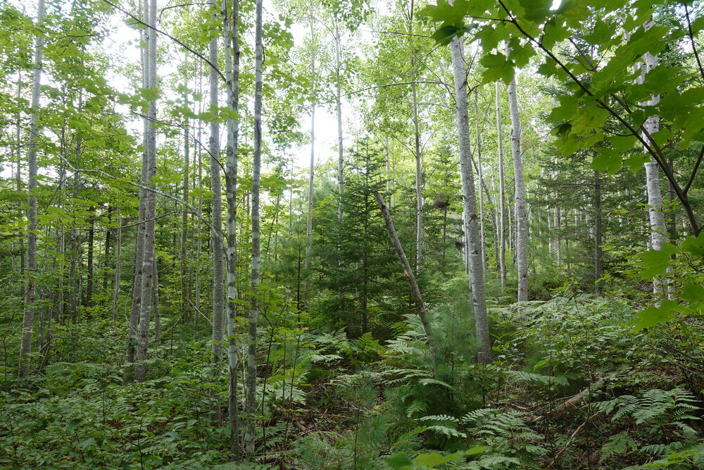 Canadian Land For Sale in Ontario, Nova Scotia, and New Brunswick