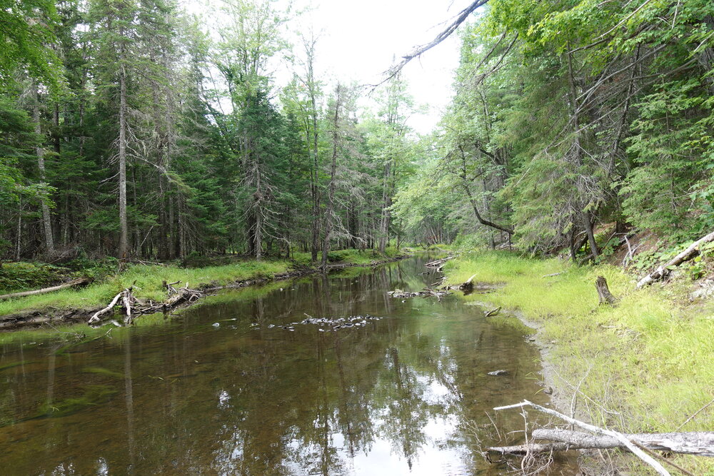 Canadian Land For Sale in Ontario, Nova Scotia, and New Brunswick