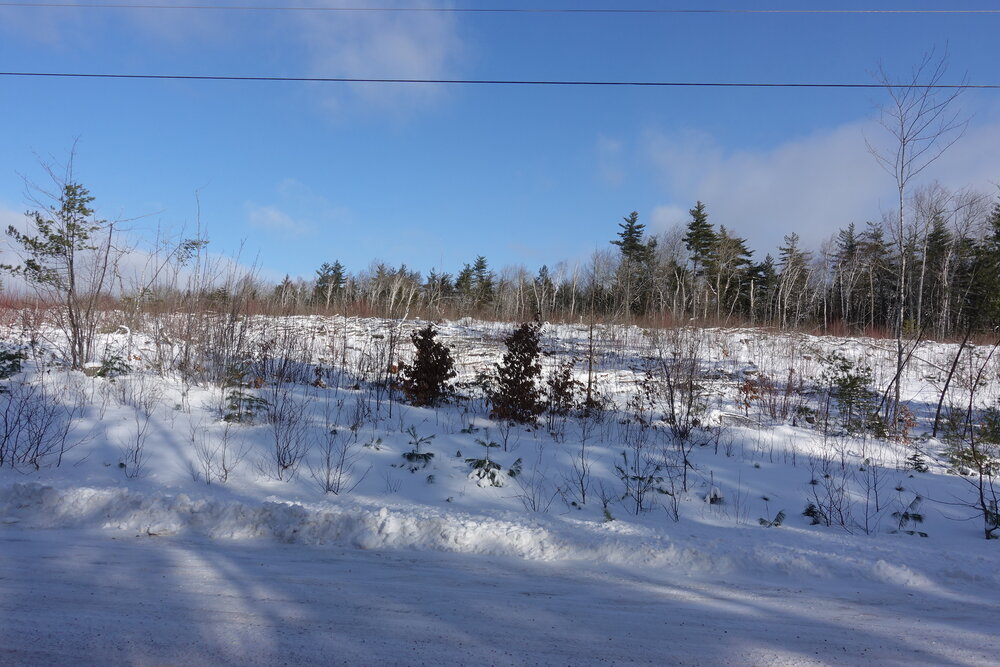 Canadian Land For Sale in Ontario, Nova Scotia, and New Brunswick