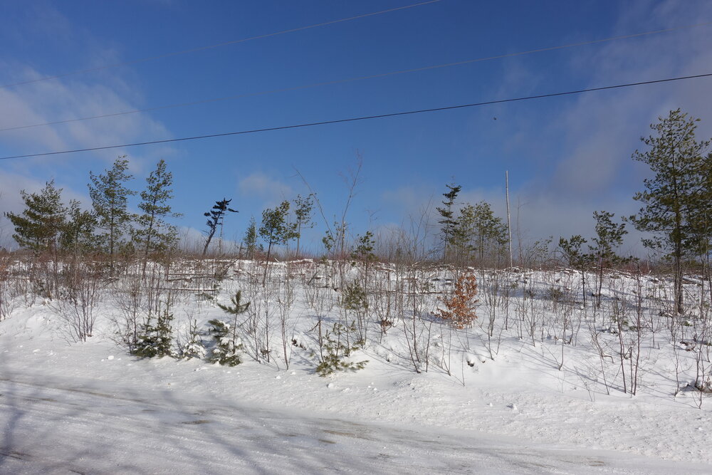 Canadian Land For Sale in Ontario, Nova Scotia, and New Brunswick