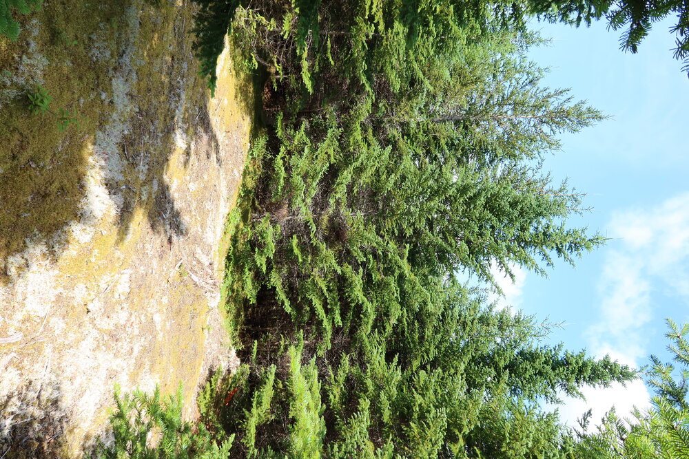 Canadian Land For Sale in Ontario, Nova Scotia, and New Brunswick