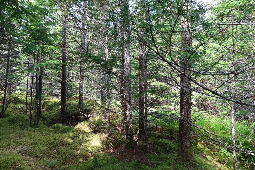 Canadian Land For Sale in Ontario, Nova Scotia, and New Brunswick